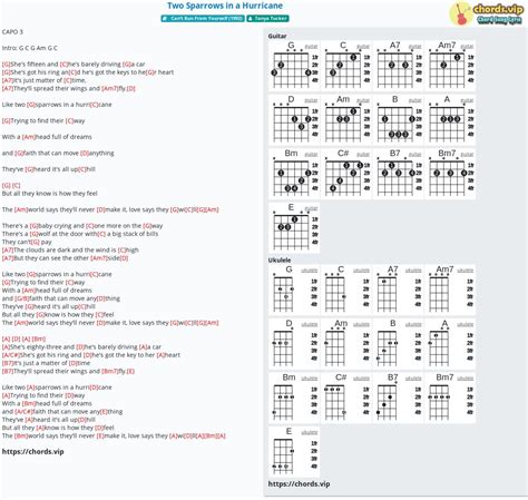 Hợp âm: Two Sparrows in a Hurricane - cảm âm, tab guitar, ukulele - lời ...