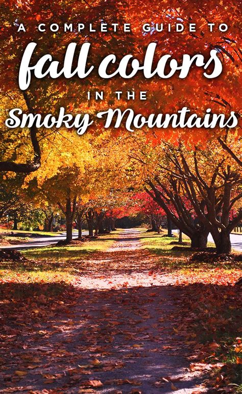 fall colors in the smoky mountains with text overlay that reads, a ...