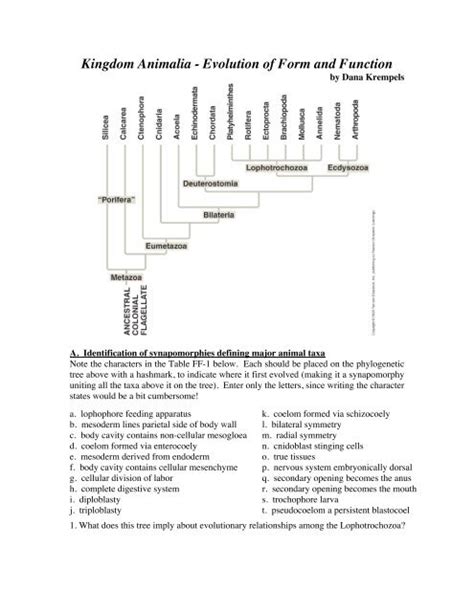Kingdom Animalia - Evolution of Form and Function