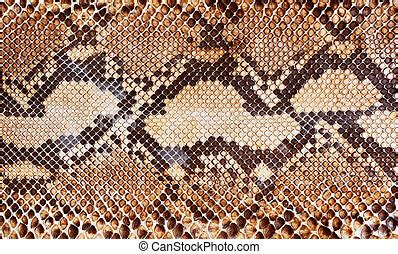 Rattlesnake skin Images and Stock Photos. 768 Rattlesnake skin photography and royalty free ...