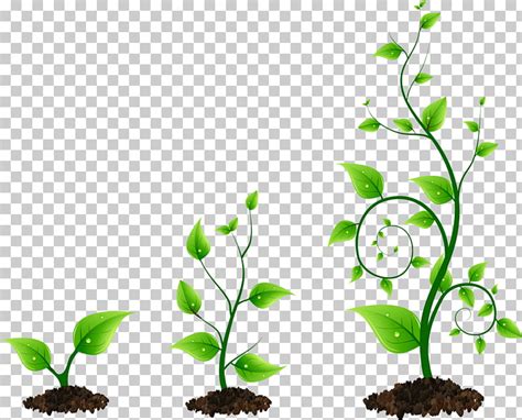 plant growing clipart - Clip Art Library