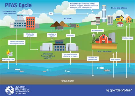 NJDEP| Per- and Polyfluoroalkyl Substances, (PFAS) | What are PFAS?