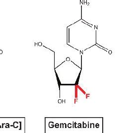 Cytidine analog – type cytotoxic drugs for the treatment of AML ...