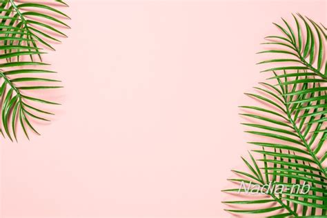 Pink And Green Background Images