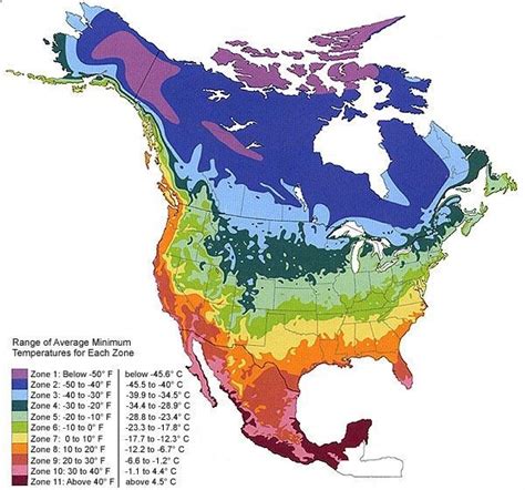 Image of gardening climate zones of the united states....Raleigh is Zone 7 but only 1 degree ...