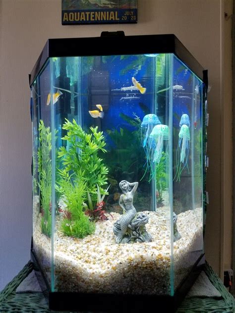 24+ Petsmart Aquarium Decorations - WAYANGPETS.COM in 2021 | Aquarium, Hexagon fish tank, Fish ...