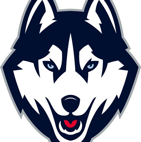 Download Connecticut Huskies - Uconn Husky Logo Clipart (#3332695 ...