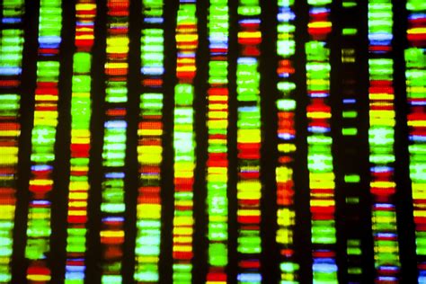 The (Almost) Completely Sequenced Human Genome Sequence - 2SER