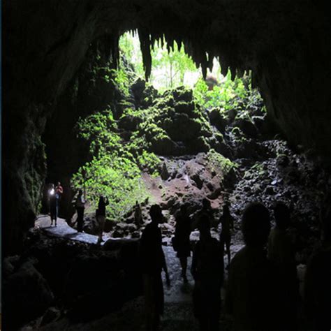 Rio Camuy Caves, United States Tourist Information