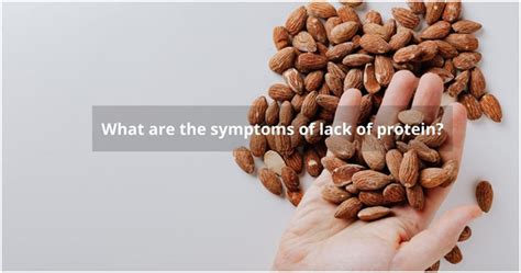 What are the symptoms of lack of protein | MyLargeBox