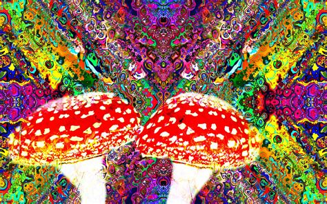 Download Psychedelic Colorful Colors Artistic Mushroom Wallpaper