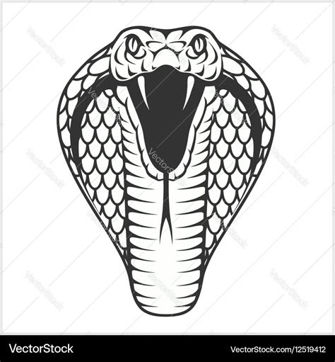 Cobra head - black and white Royalty Free Vector Image