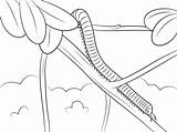 Millipede Domenica coloring page  Free Printable Coloring Pages sketch template