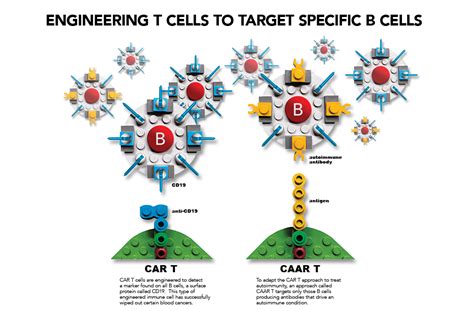 The Immunotherapy Revolution for Autoimmune Diseases