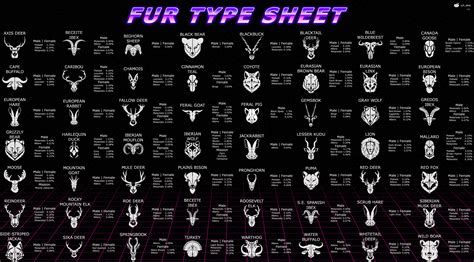 Complete guide about fur types! : r/theHunter