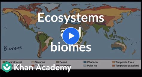 Difference Ecosystem vs Biomes | Biomes, Ecosystems, Ecology