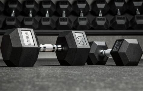 Rogue Dumbbells REVIEW (2024) | GarageGymBuilder