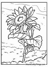 Sunflower Coloring Page Van Gogh sketch template