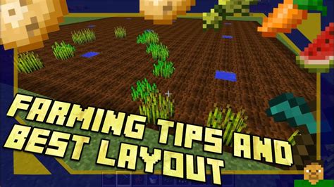 Minecraft Best Farm Layout - Design Talk