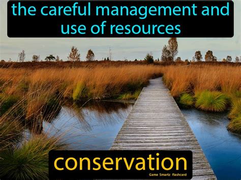 Conservation - Easy Science | Conservation, Nonrenewable resources, Science flashcards