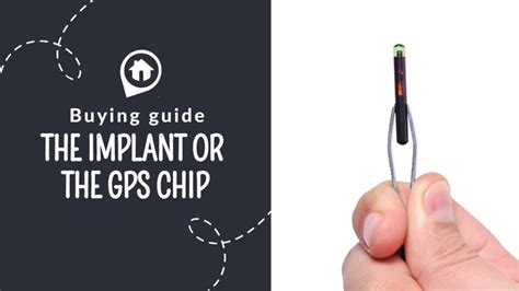 Implant or GPS chip for cats and dogs, how to choose?