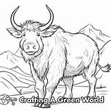 Yak Coloring Pages  Free & Printable sketch template