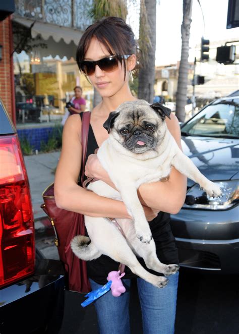 Happy National Pet Day — See the Stars Who Love Their Pups | Celebrity ...