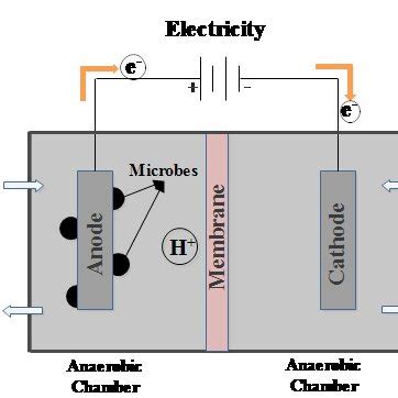 Schematic diagram of microbial fuel cell configuration | Download ...