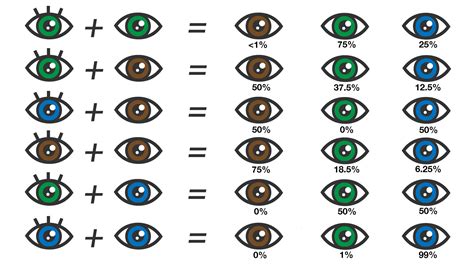 Eye Color Chart: What Color Eyes Will My Baby Have?