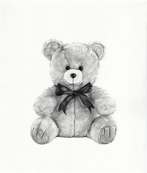 Realistic Teddy Bear Drawing