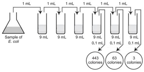 21+ How To Calculate Cfu Ml - Mabidrochimin