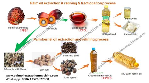 An overview of palm oil and palm kernel oil production process__Vegetable oil processing technology