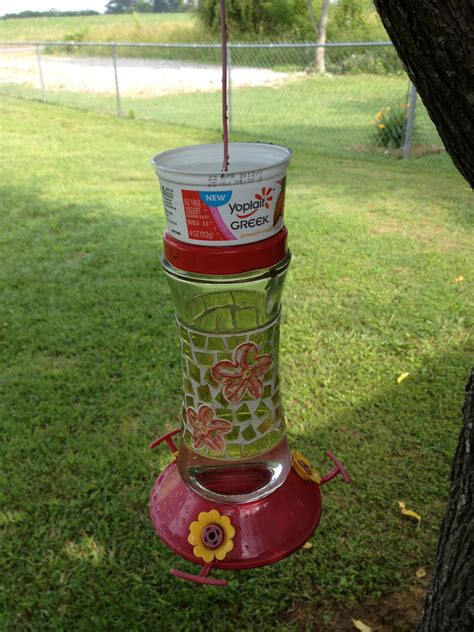 How To Keep Ants Away From Hummingbird Feeder