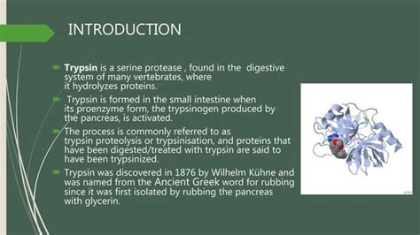 Trypsin including sources, extraction, purification and applications | PPT