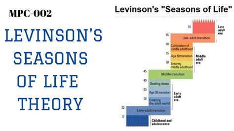 Levinson's seasons of life theory - YouTube