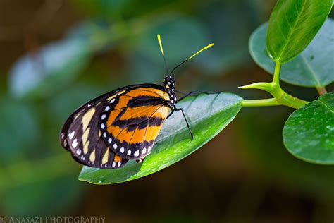 Butterfly Pavilion // ADVENTR.co