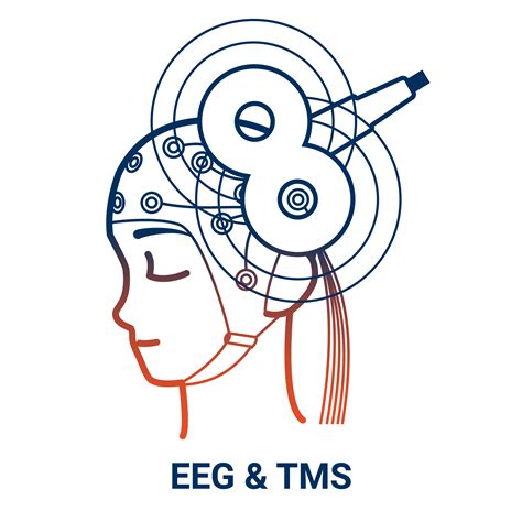 EEG & TMS » Brain Vision