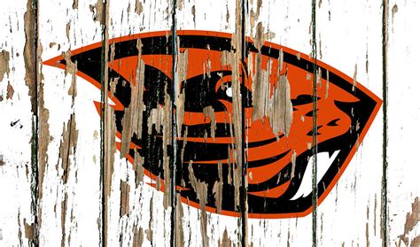 Oregon State University Vintage College Logo Peeling Barn Wood Paint ...