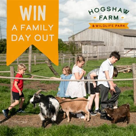 Win a Family Day Pass to Hogshaw Farm & Wildlife Park - Red Kite Days