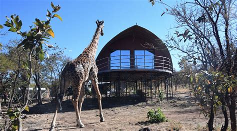 Ngorongoro Safari Lodge | Tanzania Camp | Africa Safaris | Shanrod Africa