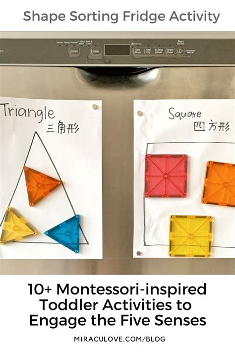 10+ Montessori-inspired Toddler Activities to Engage the Five Senses