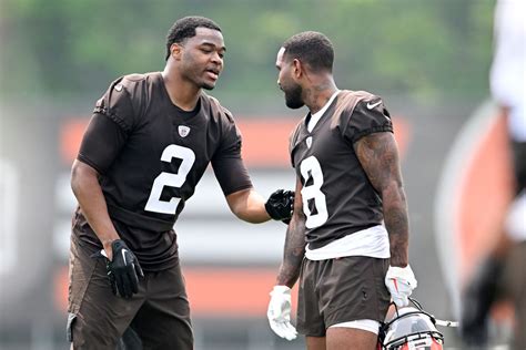 Cleveland Browns Training Camp 2023: WR Preview, Part 1 - Dawgs By Nature