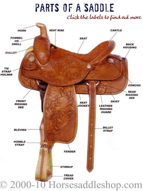 Pin by T. J. Kline, Romance Author on Horse Stuff | Western saddle ...