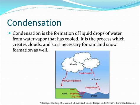 PPT - The Water Cycle PowerPoint Presentation, free download - ID:2244191