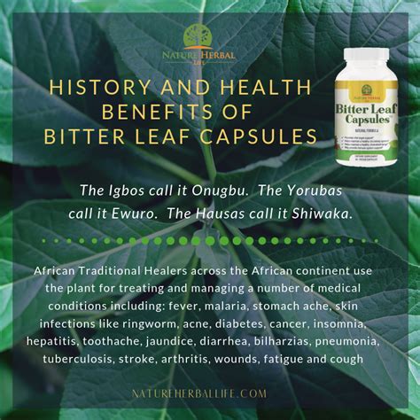 History and Health Benefits of Bitter Leaf. | by Bitter Leaf | Medium