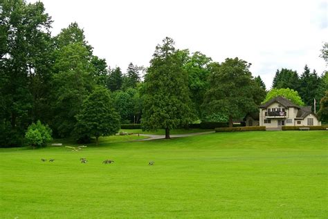 Stanley Park Vancouver: A Guide To The City's Must-See Attractions