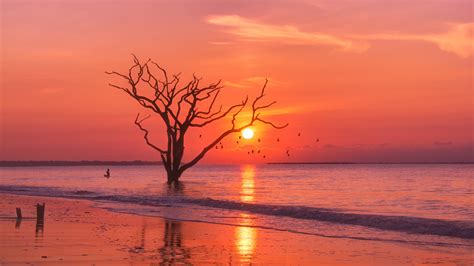 Trees Sunset Birds Water Body 4k Wallpaper,HD Nature Wallpapers,4k Wallpapers,Images,Backgrounds ...