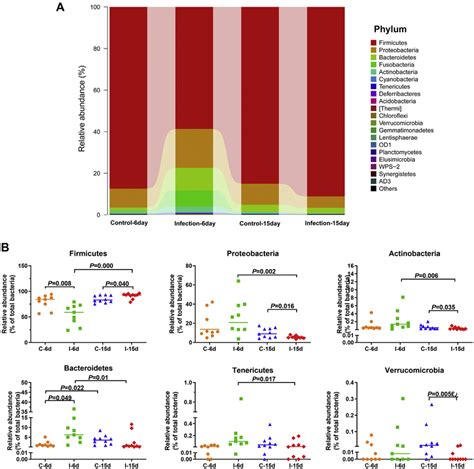 D-GPV infection alters the composition of intestinal microbiota. (A ...