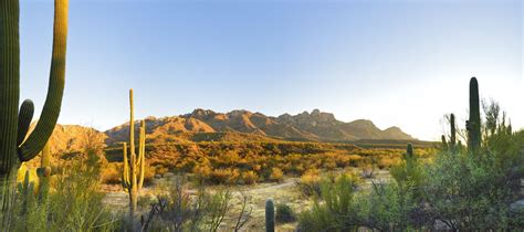 Catalina Mountains Panorama Desert Cactus, Catalina, Cacti, Flora, Deserts, Wild, Mountains ...