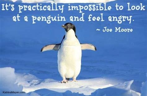 Inspirational Quotes With Penguins. QuotesGram